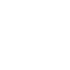 logo light